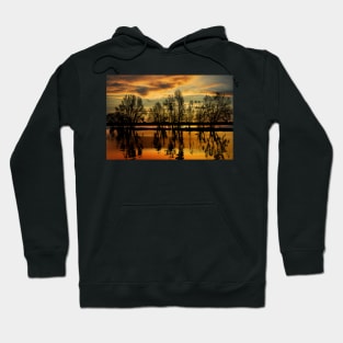 Golden Sunset Hoodie